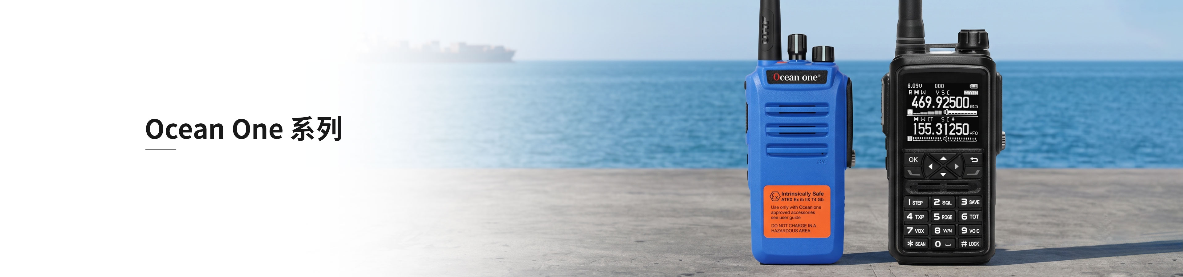 banner